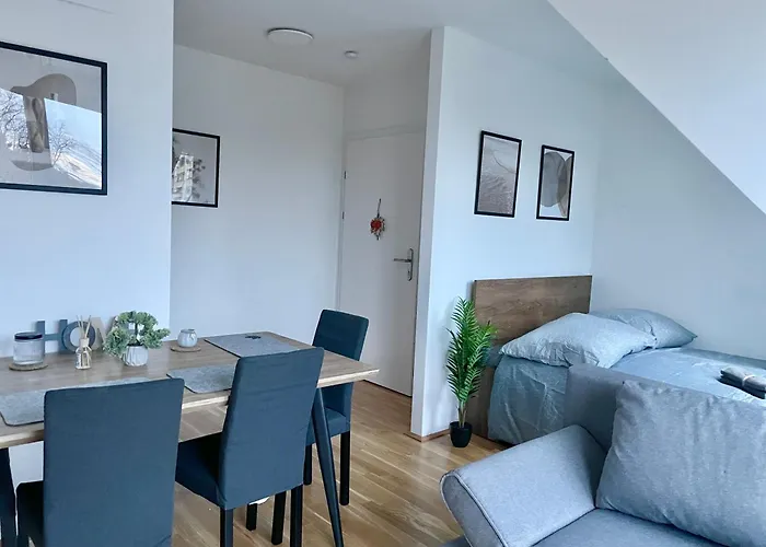 Modern Rooftop With Balcony & Free Parking Apartment